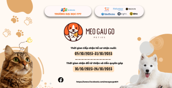 Meo gau go (1200 x 628 px)